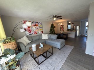 11806 Cypress Hill Circle Tampa FL 33626 TB8444110 image5