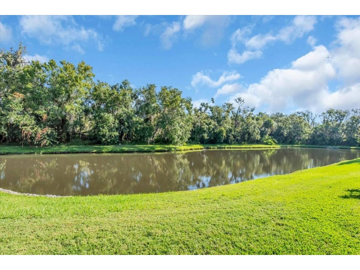 11806 Oak Ridge Drive Parrish FL 34219 A4669574 image55