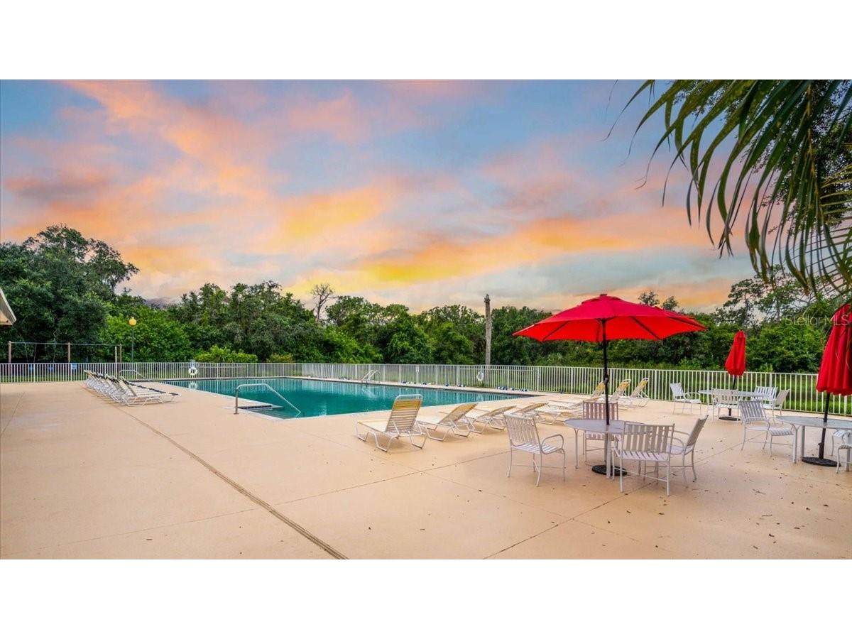 11806 Oak Ridge Drive Parrish FL 34219 A4669574 image62