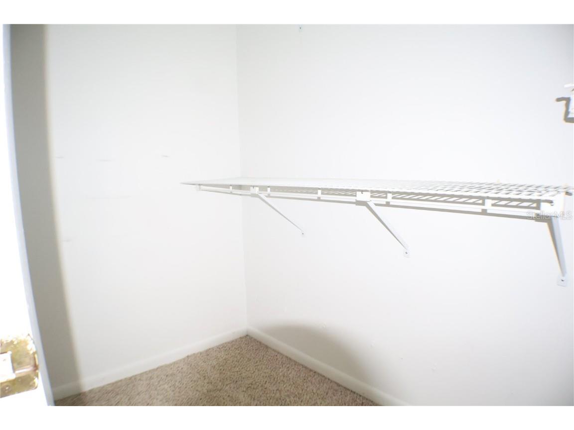 11806 White Ash Drive New Port Richey FL 34654 A4665817 image18