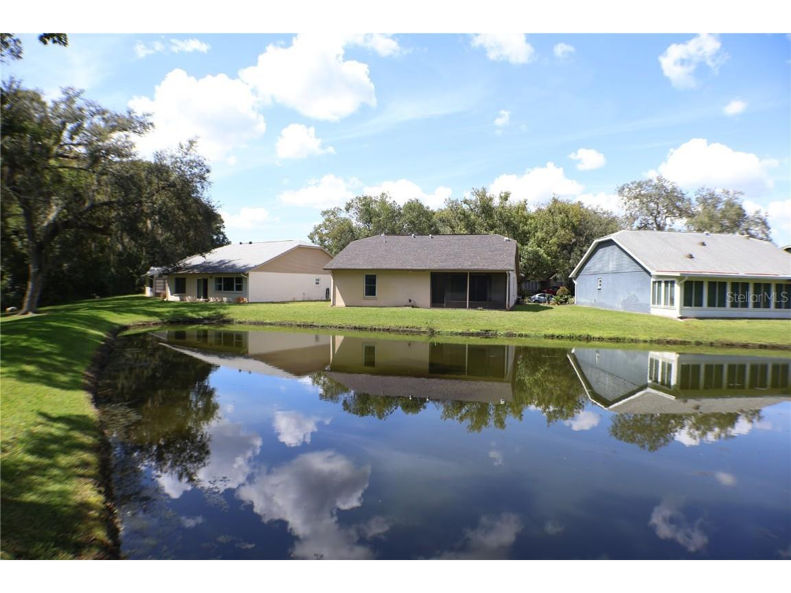 11806 White Ash Drive New Port Richey FL 34654 A4665817 image29