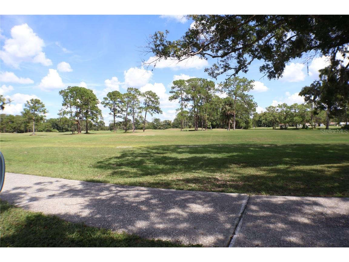 11806 White Ash Drive New Port Richey FL 34654 A4665817 image34