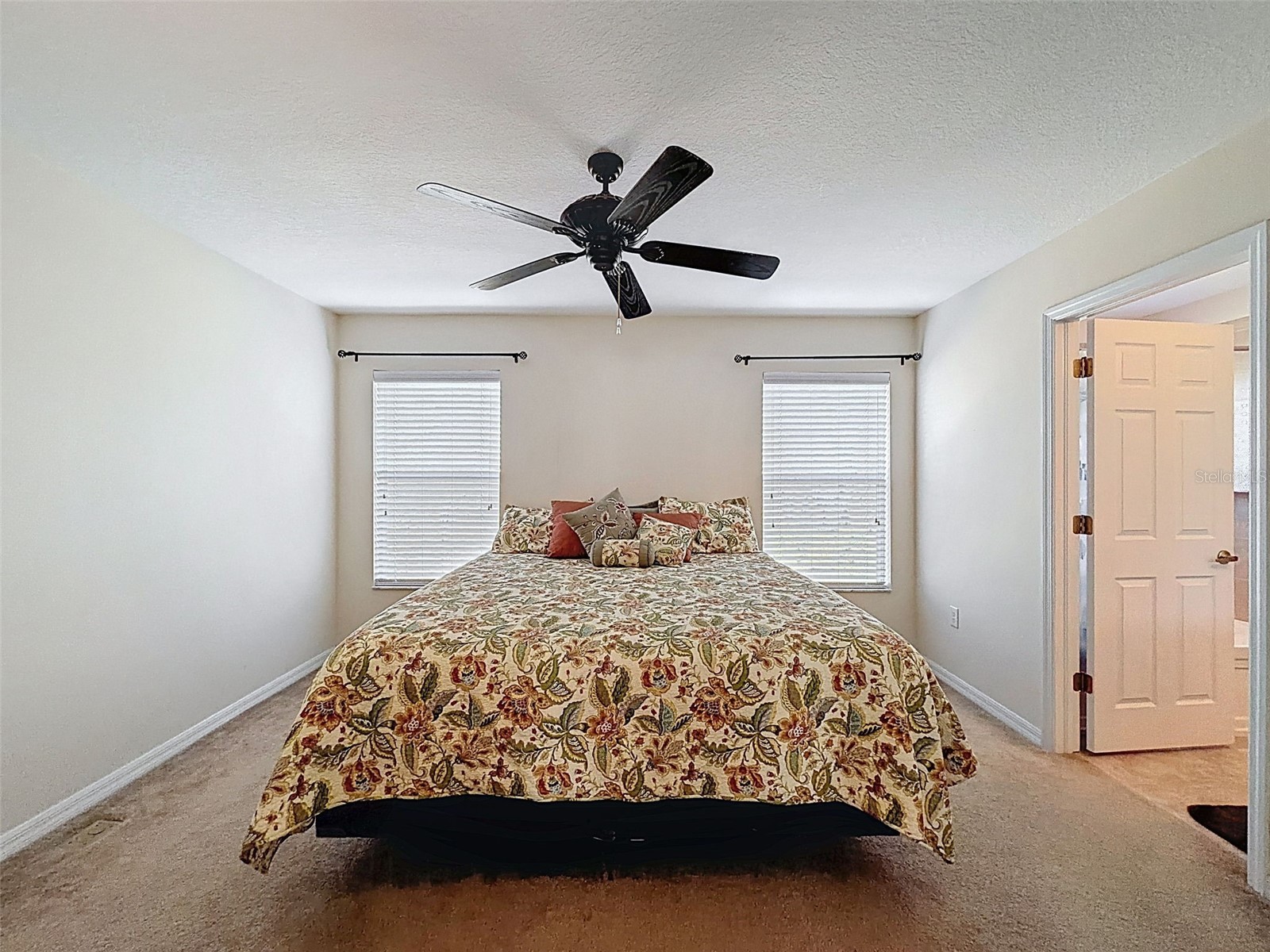 11807 Castine Street New Port Richey FL 34654 W7883305 image11