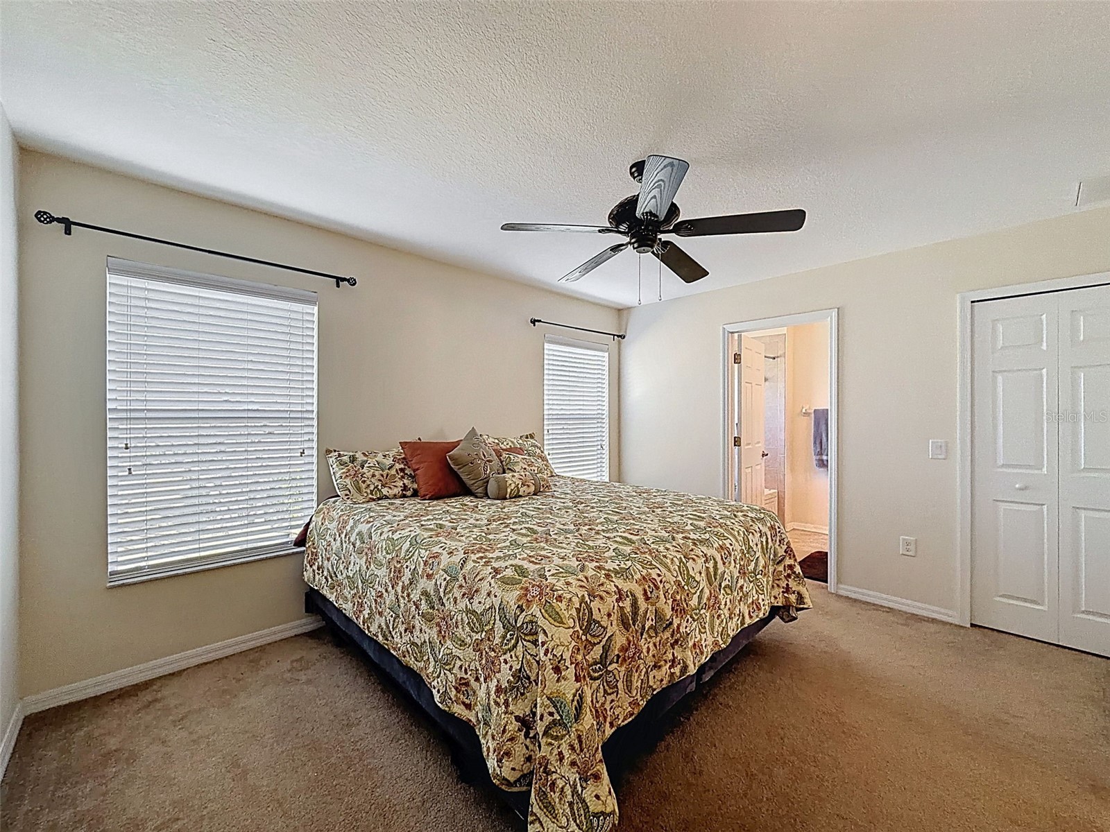 11807 Castine Street New Port Richey FL 34654 W7883305 image12