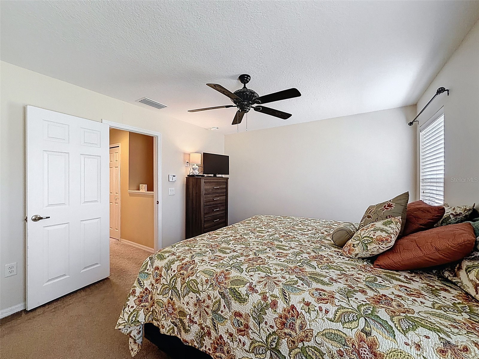 11807 Castine Street New Port Richey FL 34654 W7883305 image13