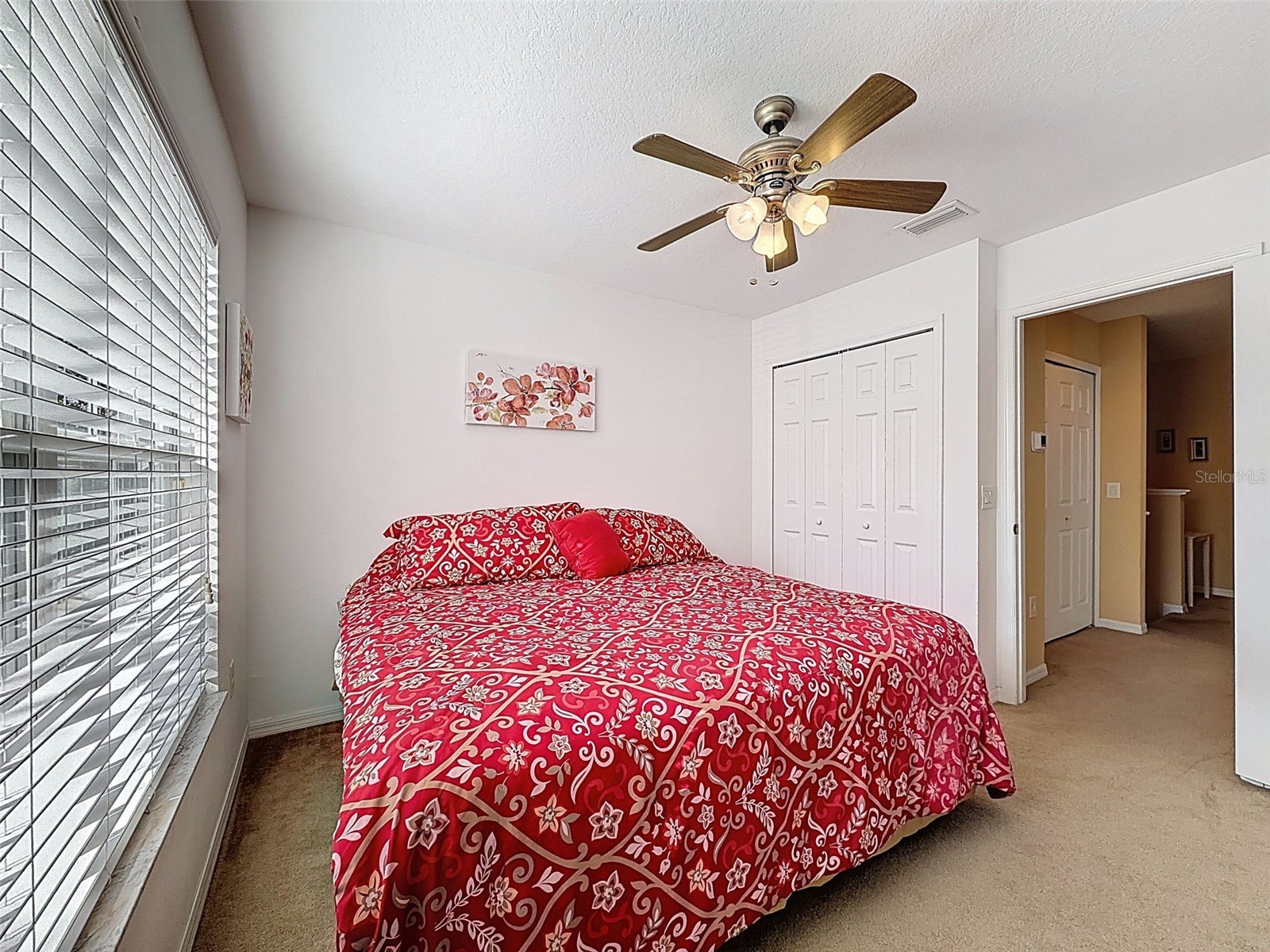 11807 Castine Street New Port Richey FL 34654 W7883305 image16