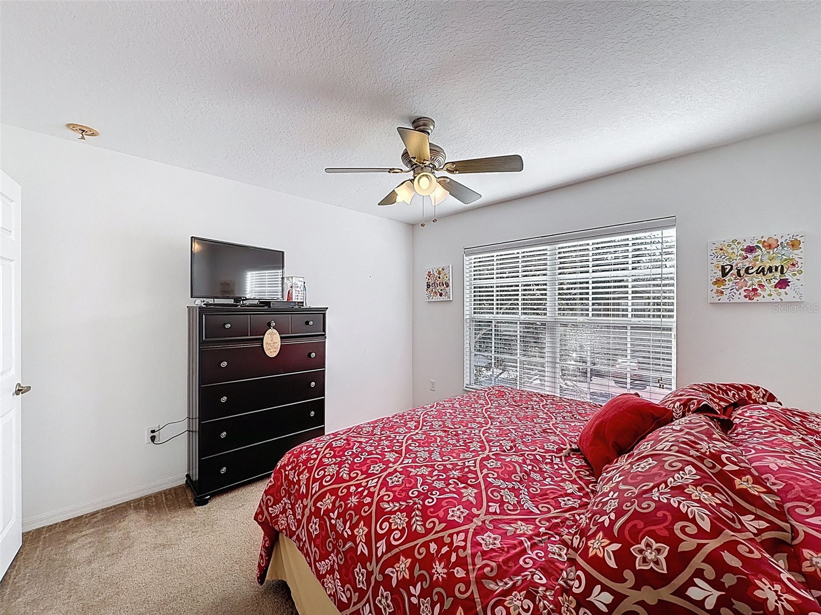11807 Castine Street New Port Richey FL 34654 W7883305 image17