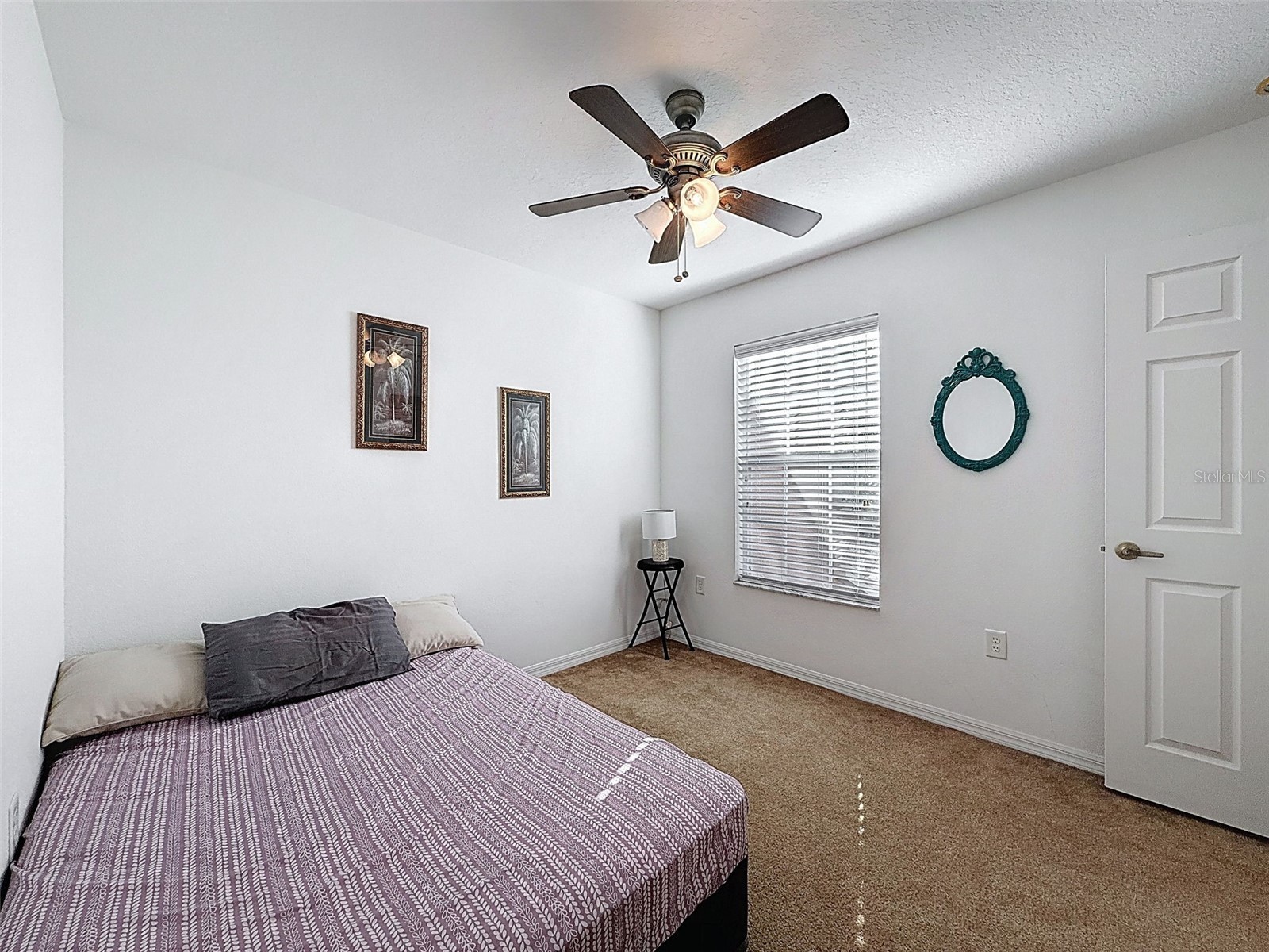 11807 Castine Street New Port Richey FL 34654 W7883305 image19
