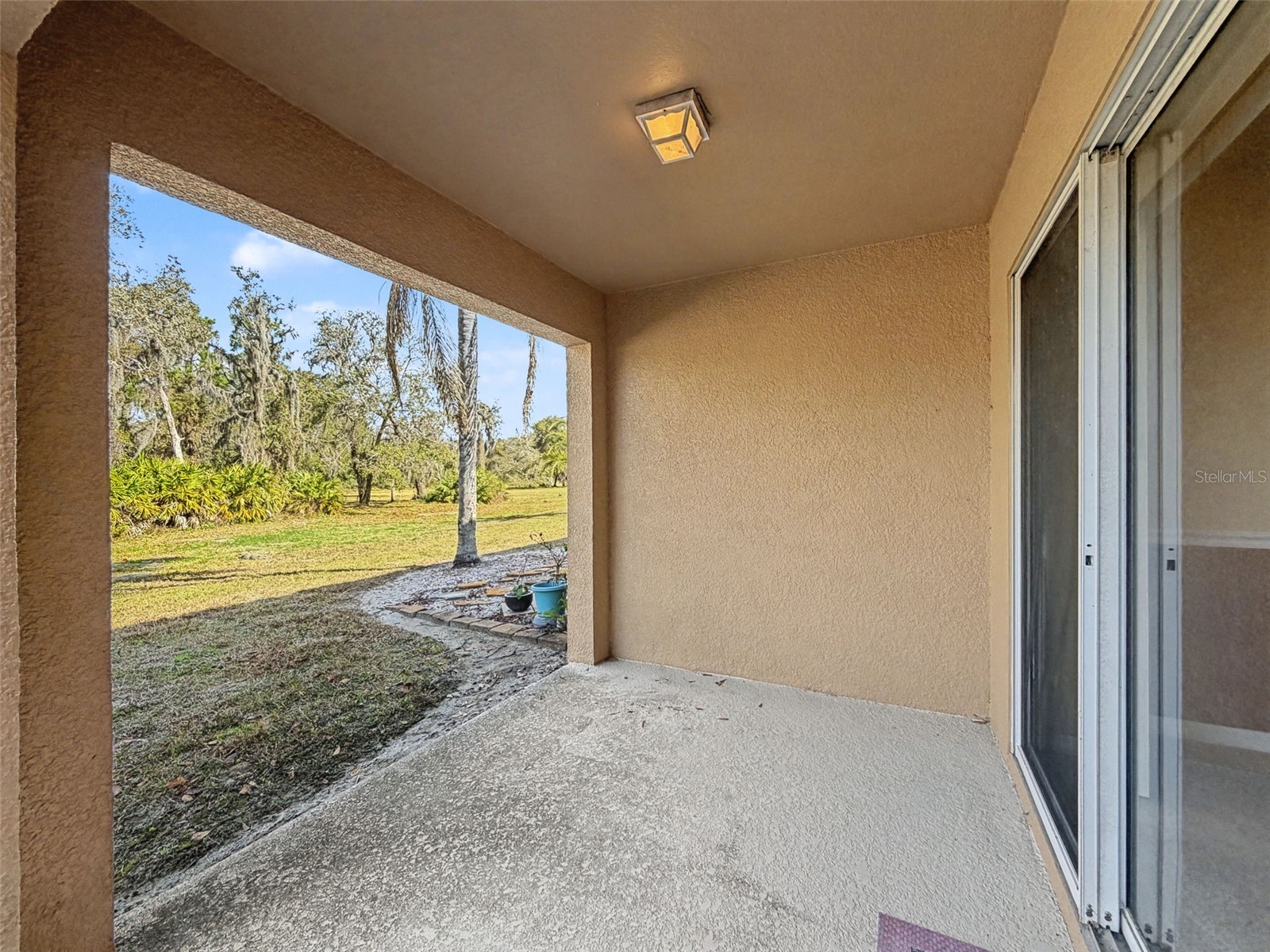 11807 Castine Street New Port Richey FL 34654 W7883305 image21
