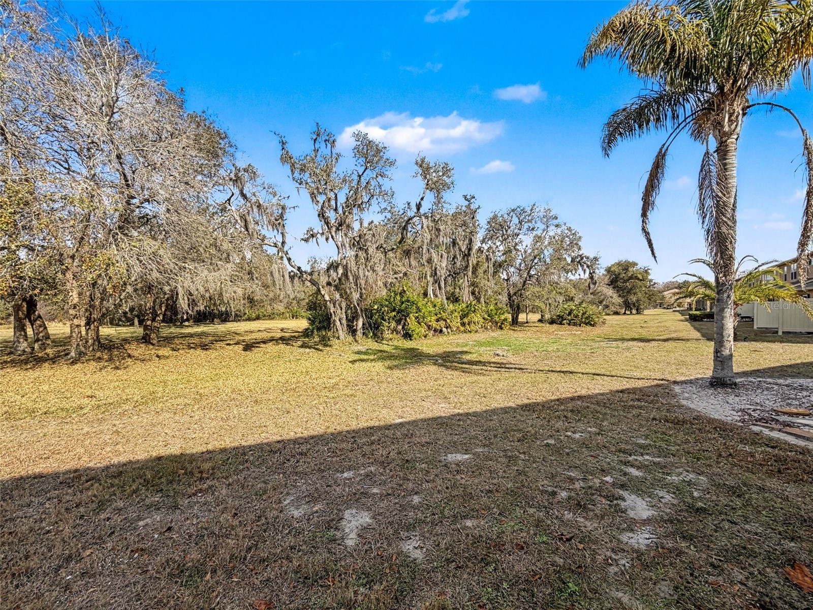 11807 Castine Street New Port Richey FL 34654 W7883305 image22
