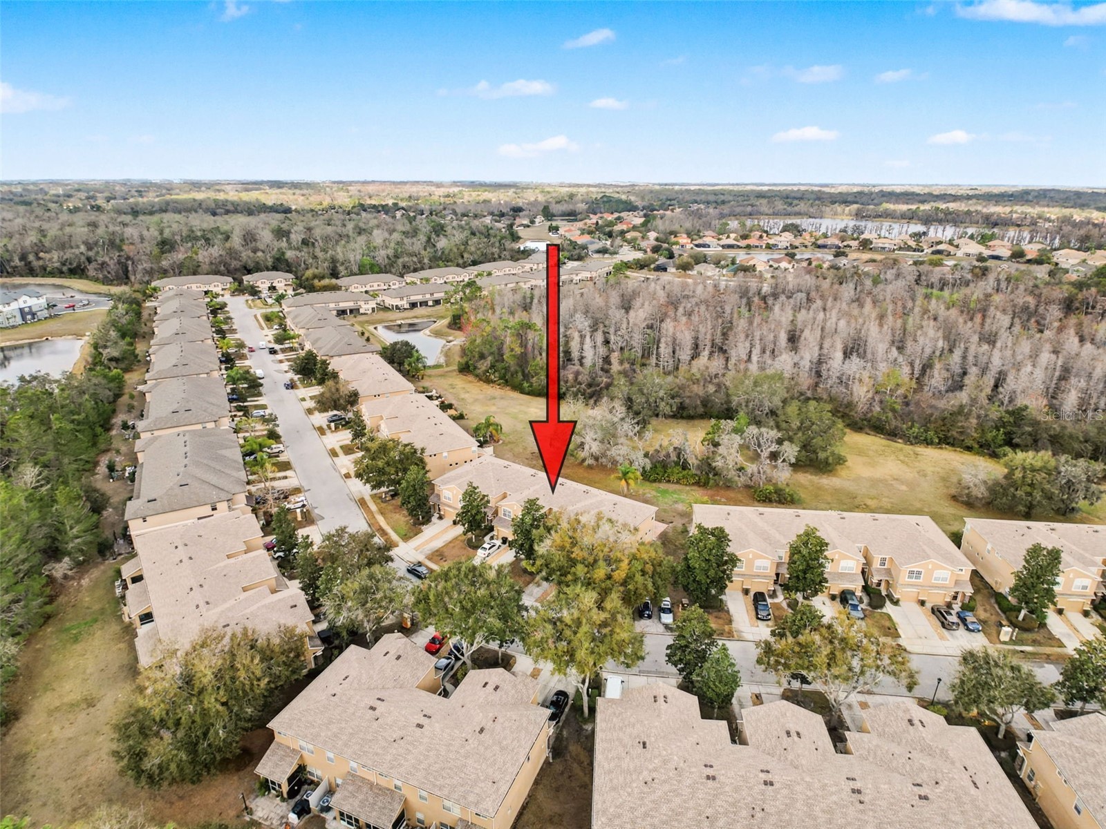 11807 Castine Street New Port Richey FL 34654 W7883305 image25