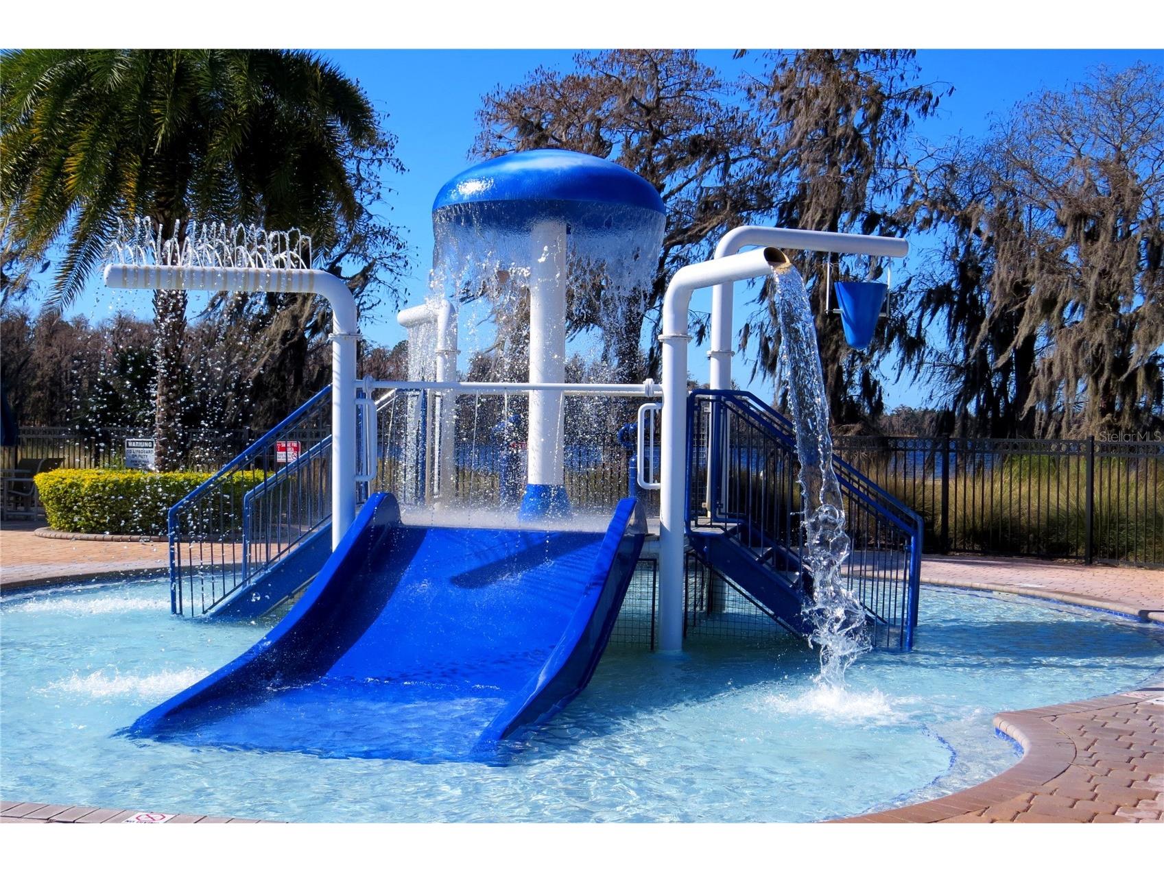 11807 Castine Street New Port Richey FL 34654 W7883305 image37