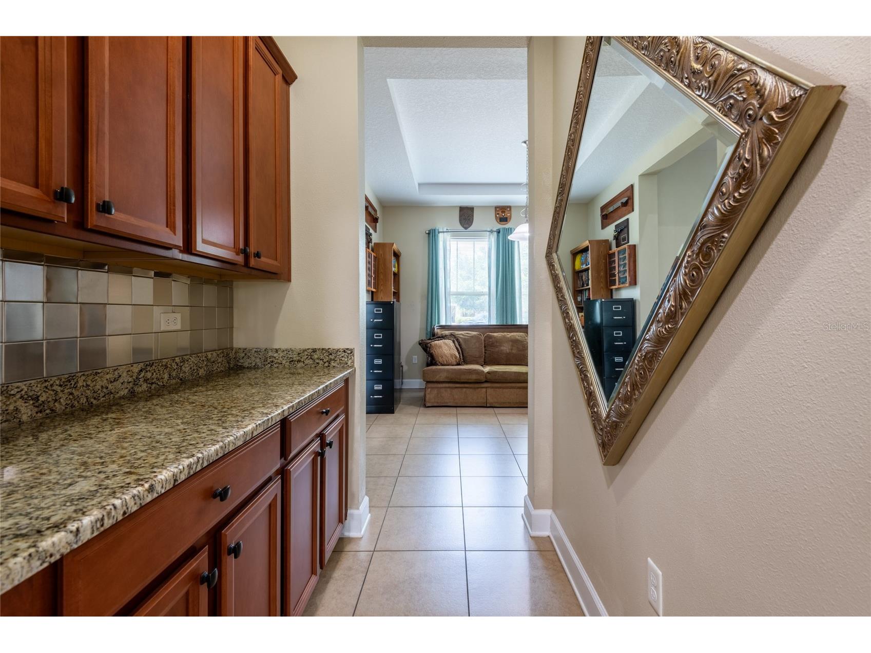 11807 Cross Vine Drive Riverview FL 33579 TB8516685 image27
