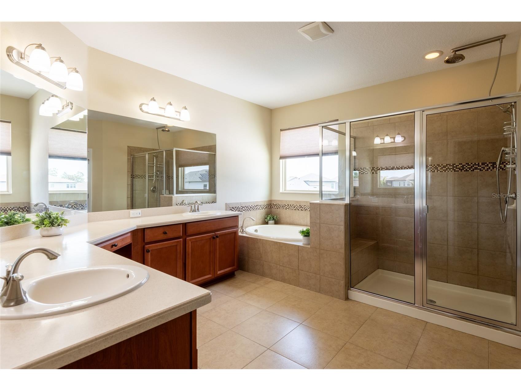11807 Cross Vine Drive Riverview FL 33579 TB8516685 image37