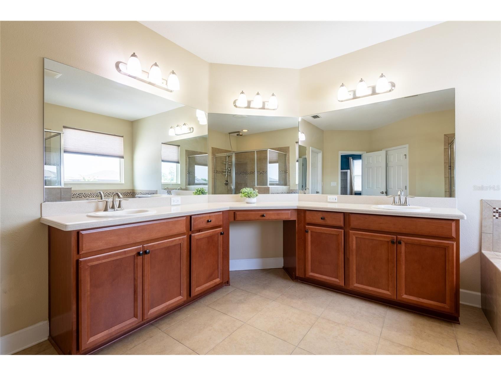 11807 Cross Vine Drive Riverview FL 33579 TB8516685 image38