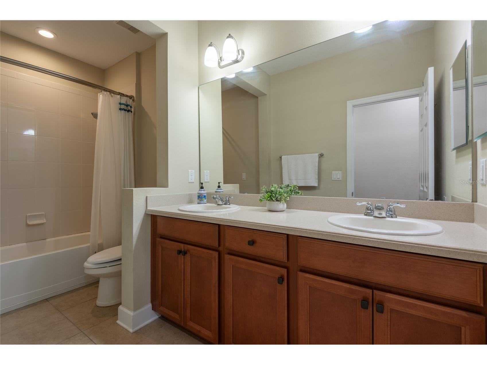 11807 Cross Vine Drive Riverview FL 33579 TB8516685 image43