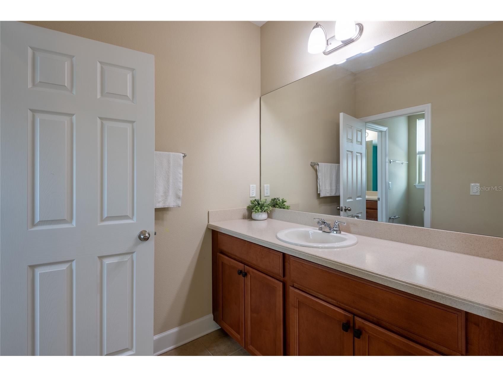 11807 Cross Vine Drive Riverview FL 33579 TB8516685 image47