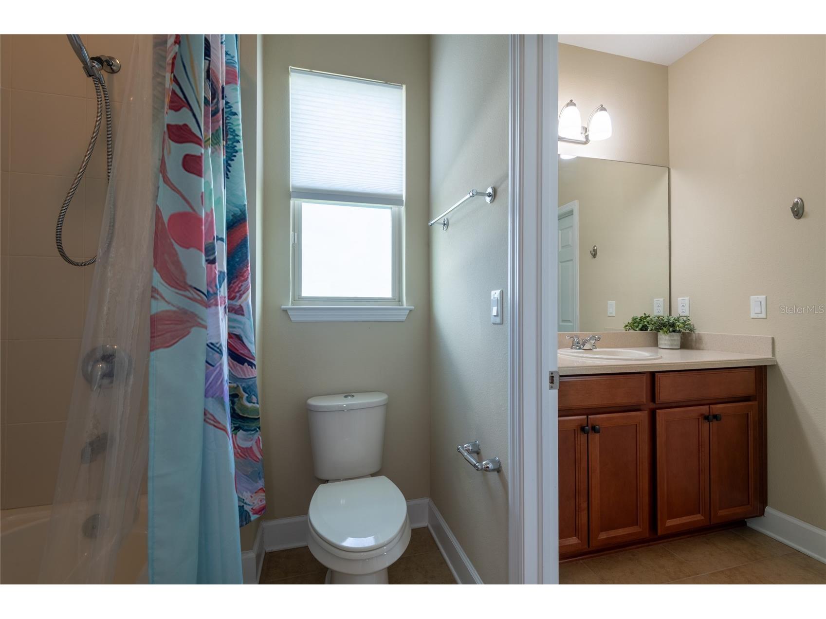 11807 Cross Vine Drive Riverview FL 33579 TB8516685 image48