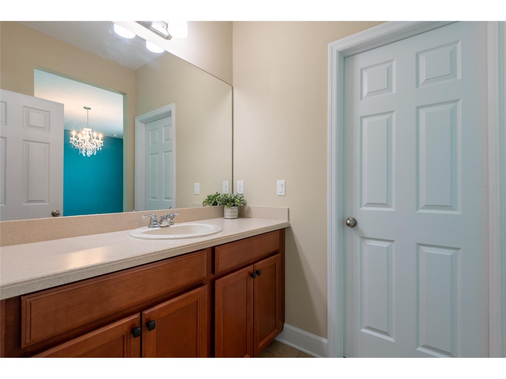 11807 Cross Vine Drive Riverview FL 33579 TB8516685 image49