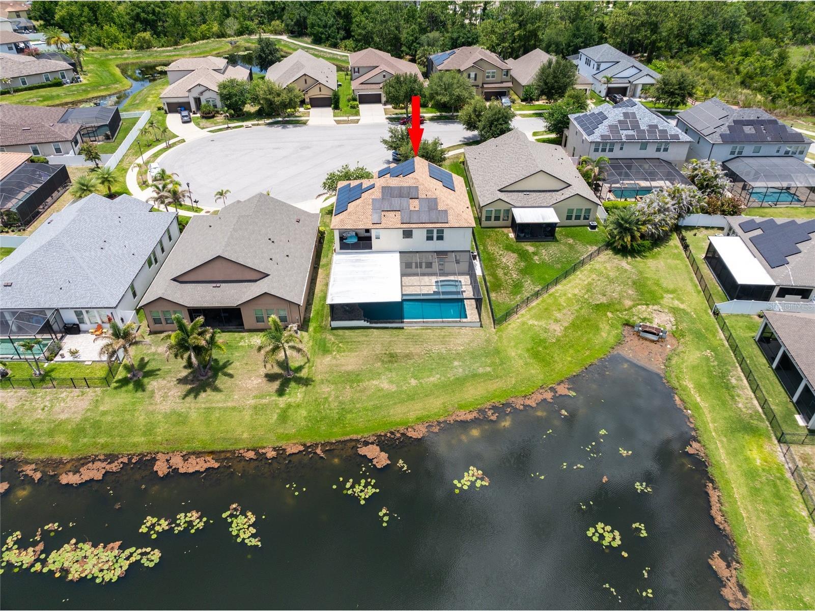 11807 Cross Vine Drive Riverview FL 33579 TB8516685 image60