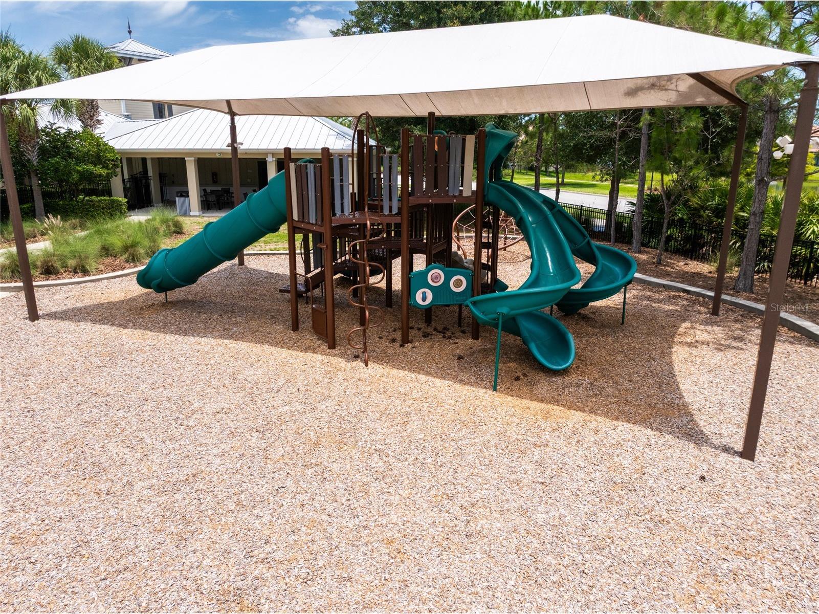 11807 Cross Vine Drive Riverview FL 33579 TB8516685 image67