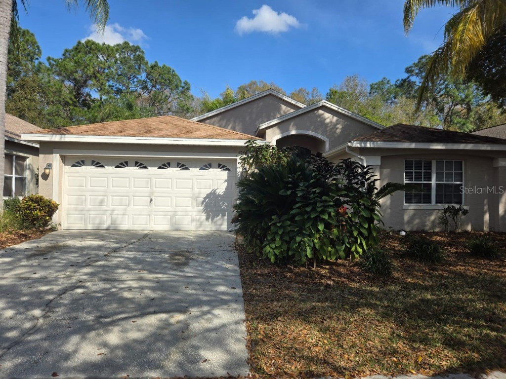 11807 Derbyshire Drive Tampa FL 33626 U8232725 image1