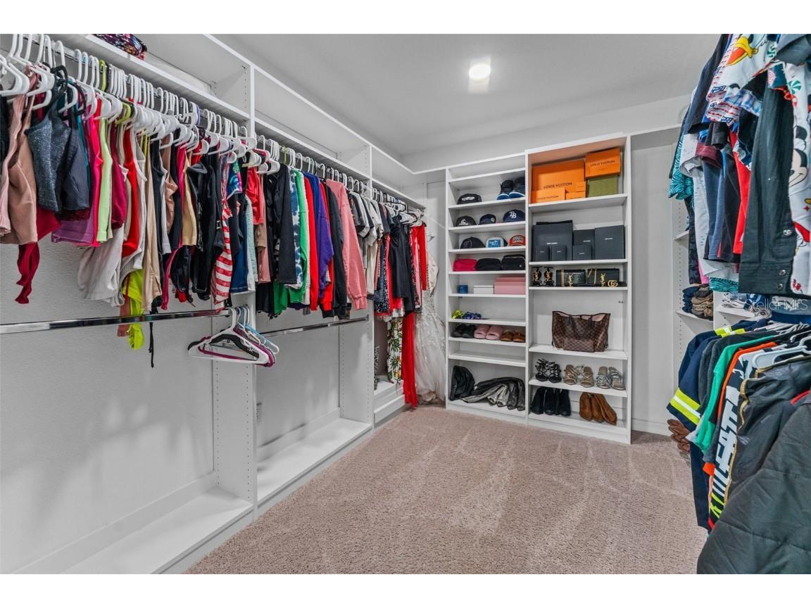 11807 Harpswell Drive Riverview FL 33579 TB8439634 image28