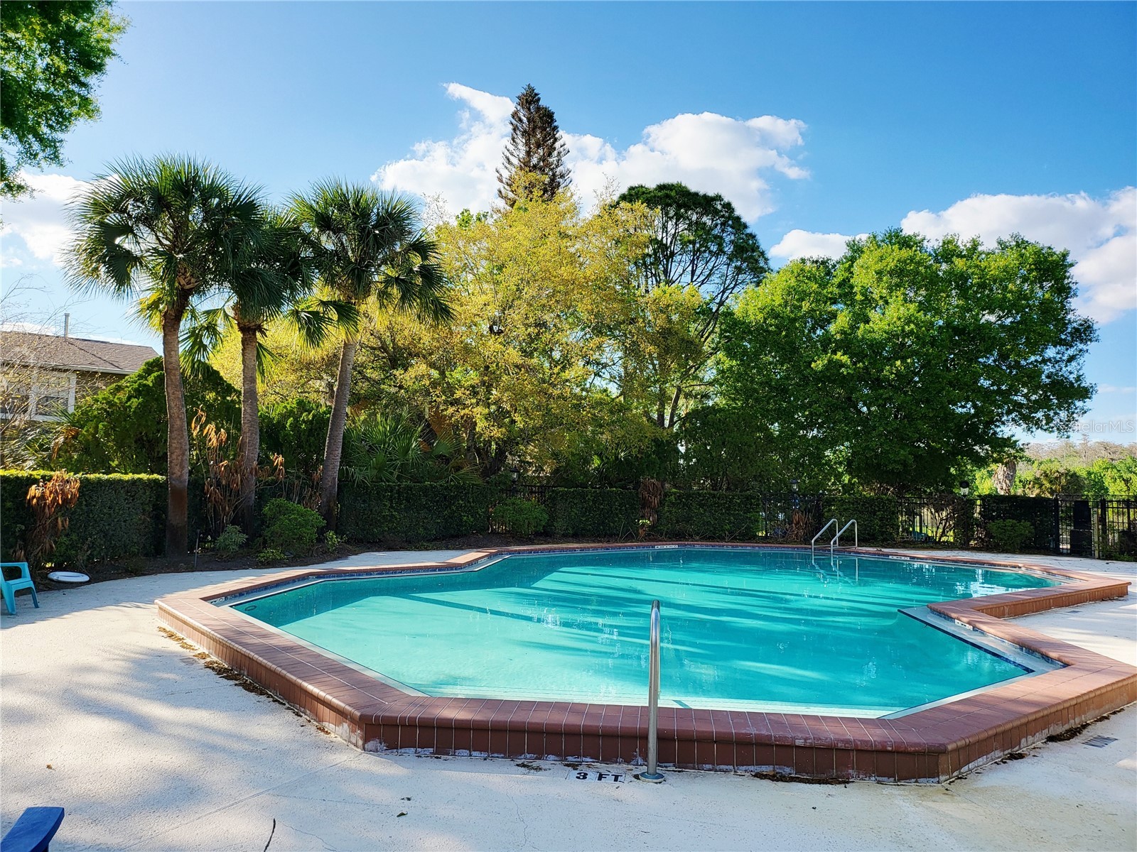 11807 Mintwood Court Orlando FL 32837 S5146257 image21