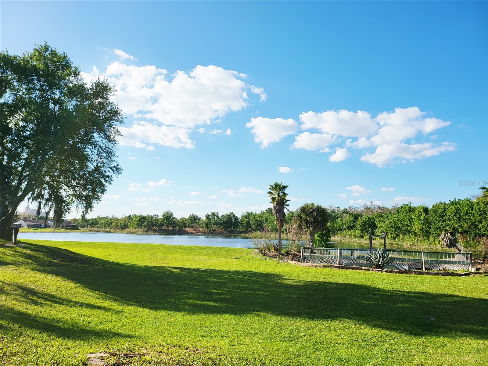 11807 Mintwood Court Orlando FL 32837 S5146257 image22