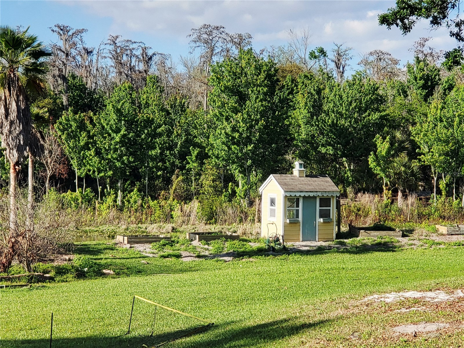 11807 Mintwood Court Orlando FL 32837 S5146257 image24