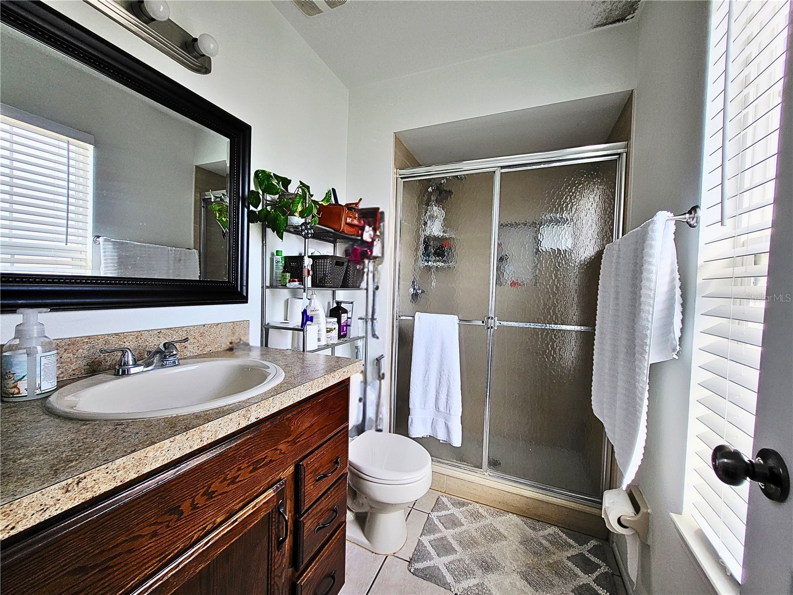 11807 Mintwood Court Orlando FL 32837 S5146257 image9