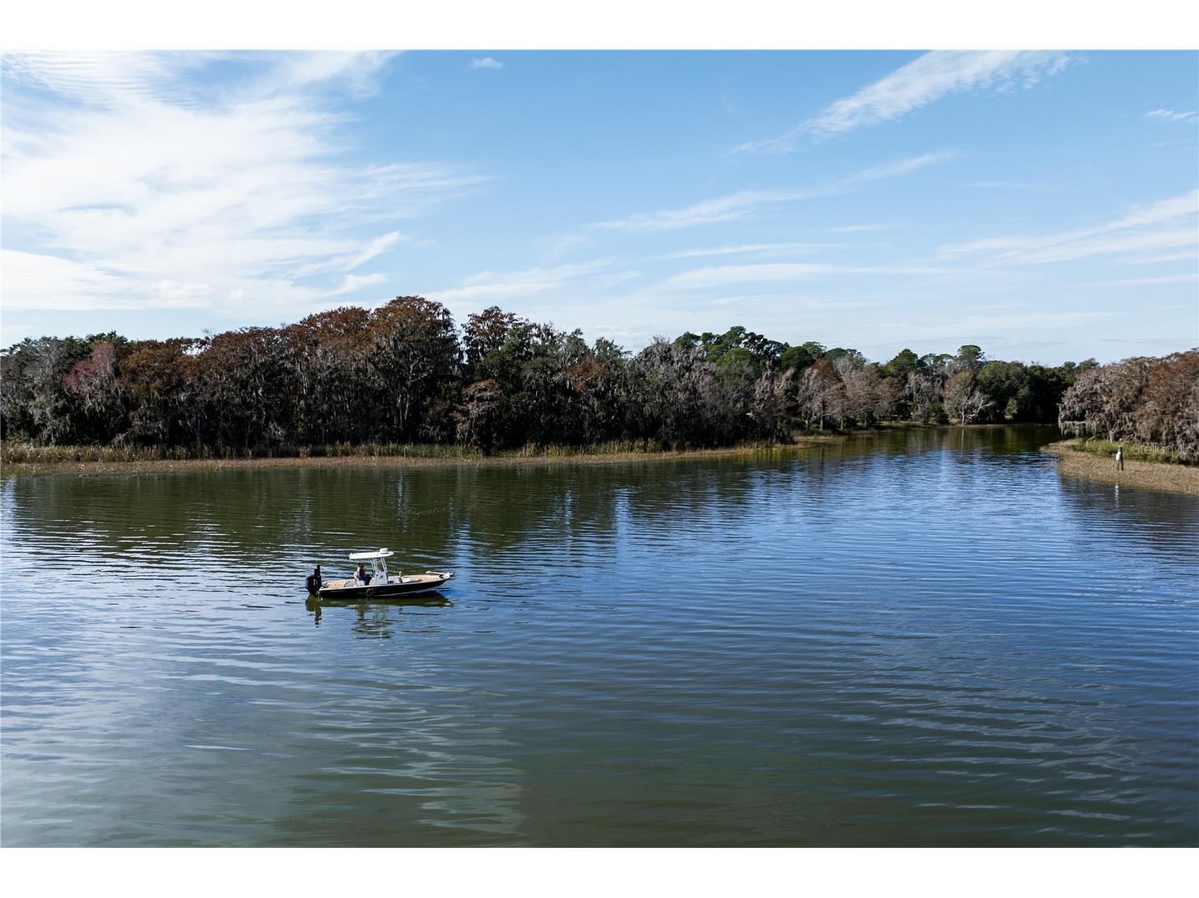 11807 Ocklawaha Drive Leesburg FL 34788 G5107143 image38