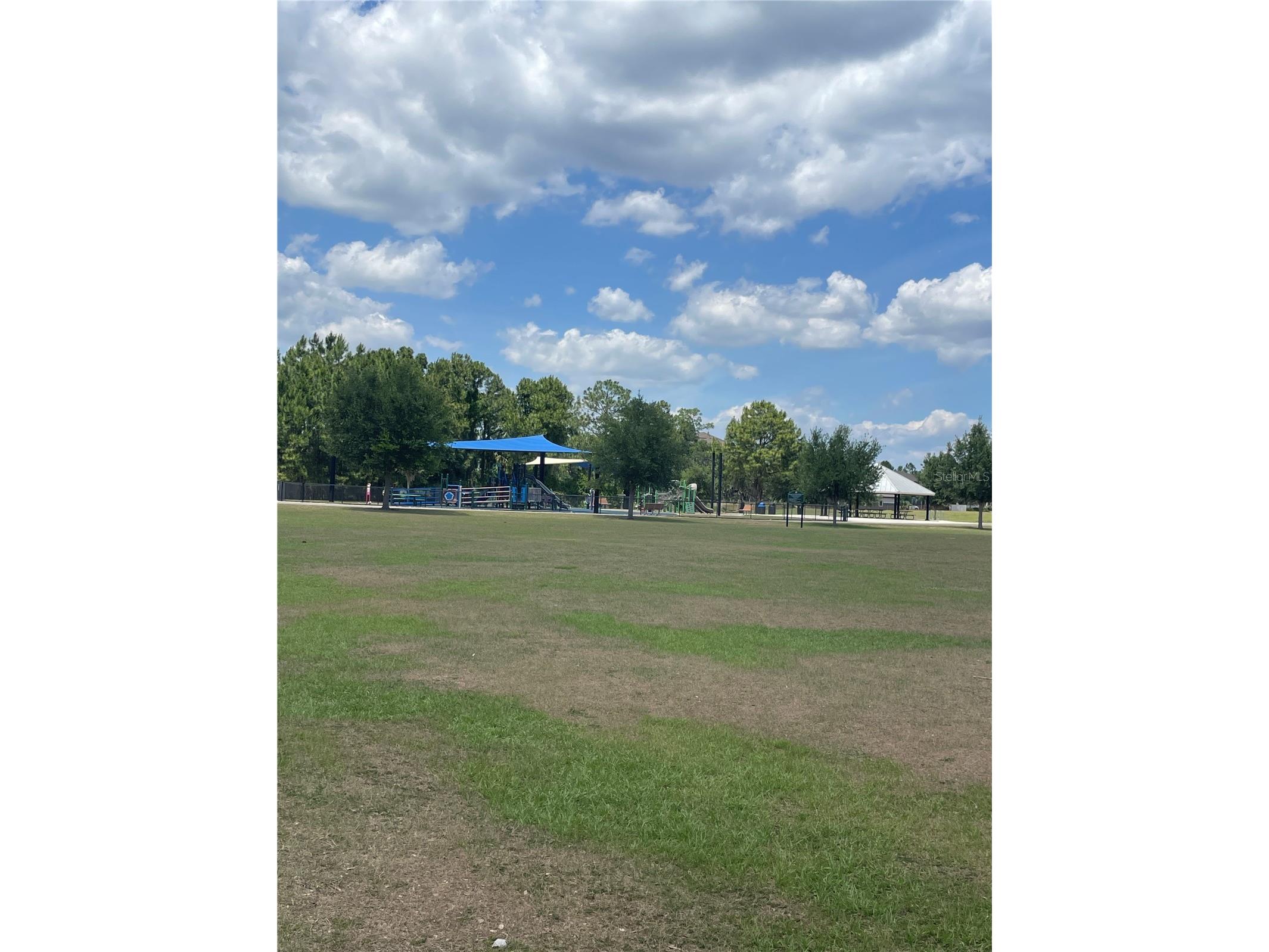 11807 Vermillion Ave Windermere FL 34786 O6404378 image19