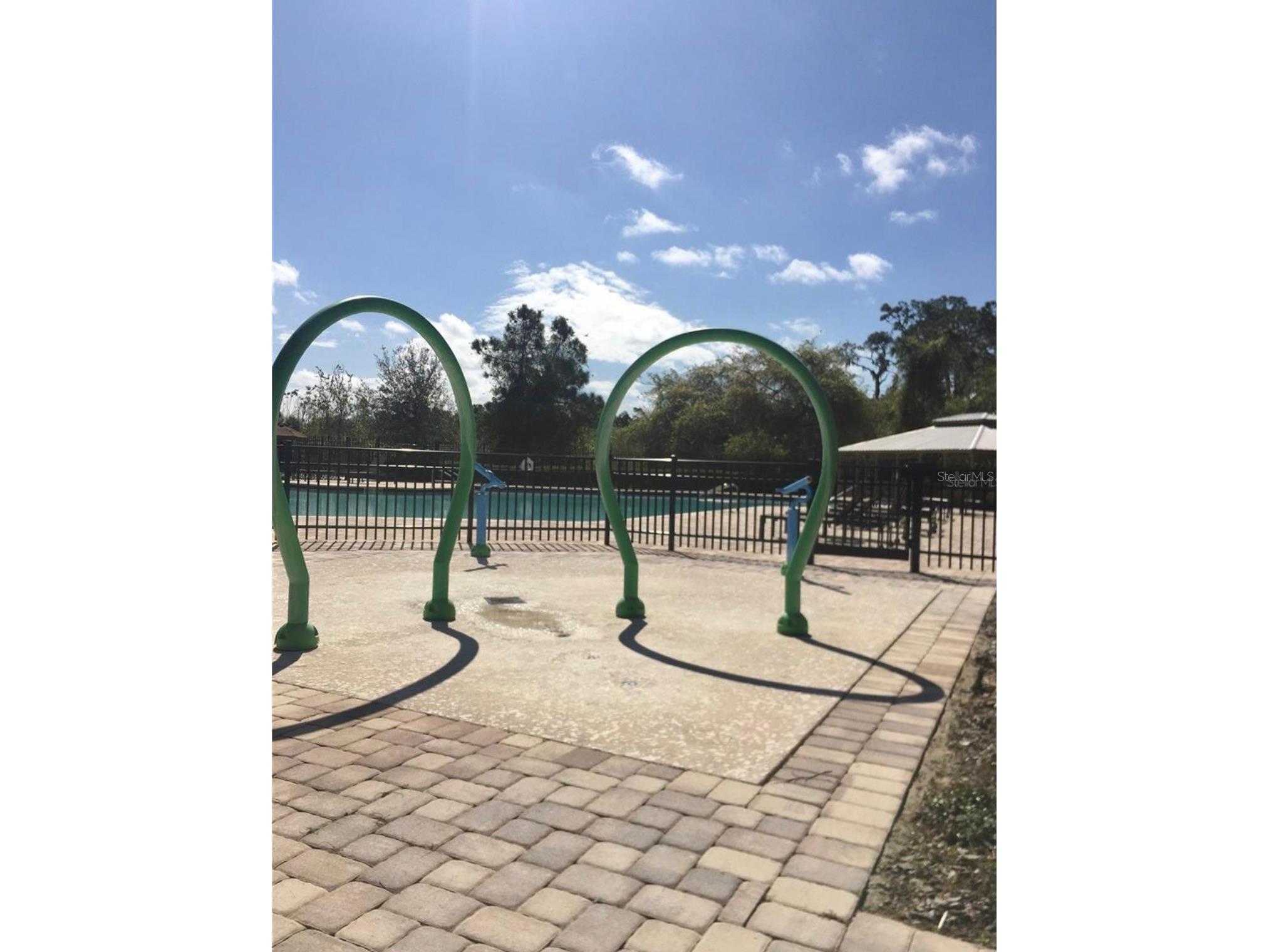 11807 Vermillion Ave Windermere FL 34786 O6404378 image23