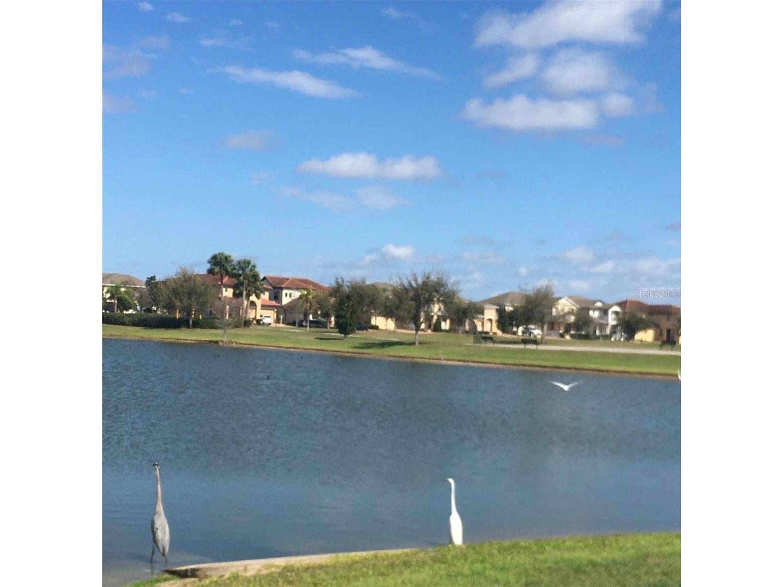 11807 Vermillion Ave Windermere FL 34786 O6404378 image25