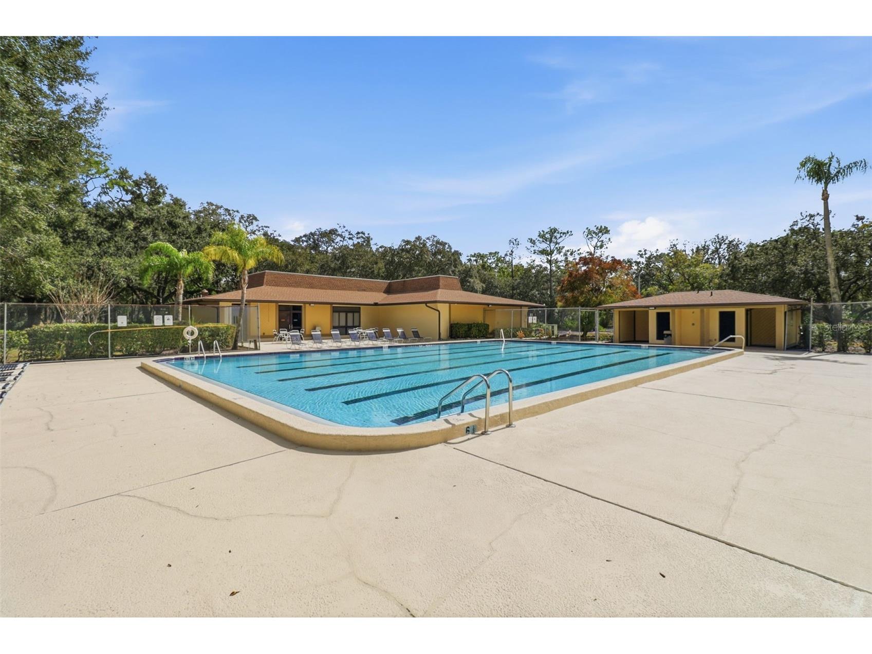 11808 Raintree Lake Lane #C Tampa FL 33617 TB8473720 image19