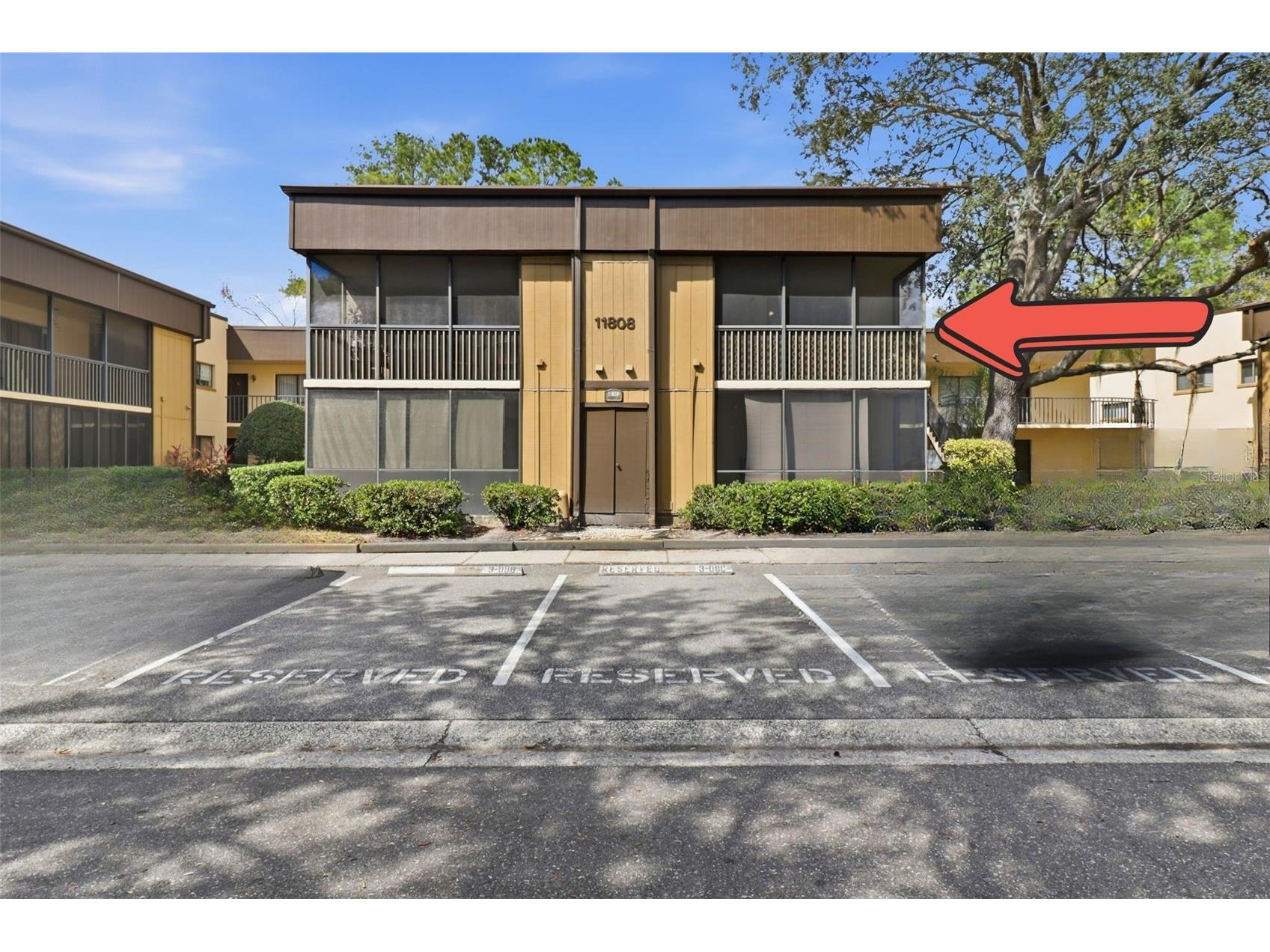 11808 Raintree Lake Lane #C Tampa FL 33617 TB8473720 image2