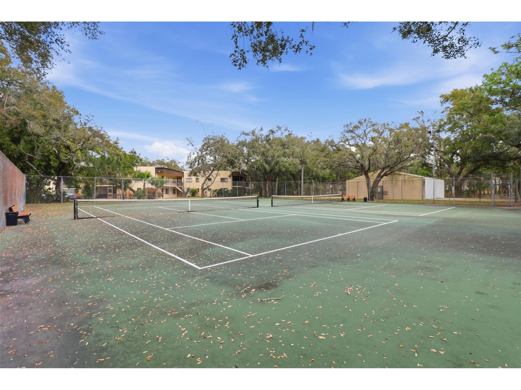 11808 Raintree Lake Lane #C Tampa FL 33617 TB8473720 image20