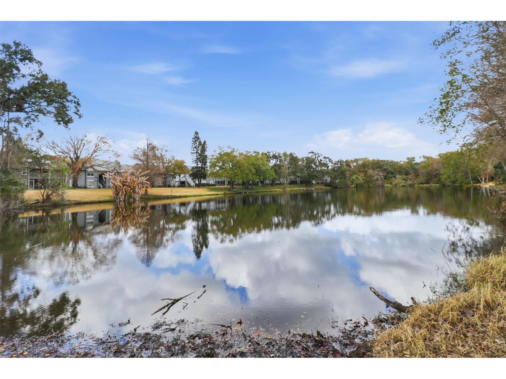 11808 Raintree Lake Lane #C Tampa FL 33617 TB8473720 image21