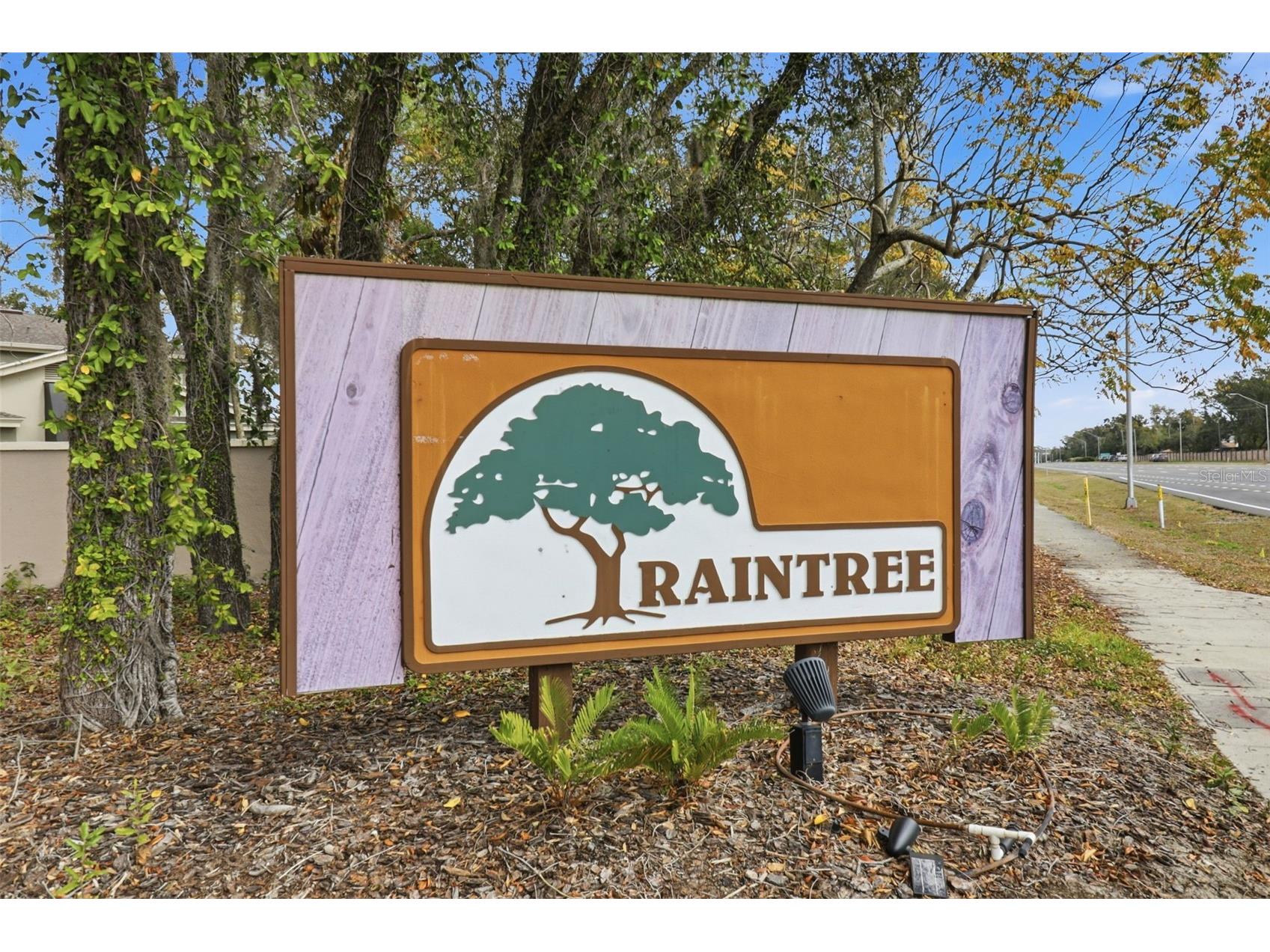 11808 Raintree Lake Lane #C Tampa FL 33617 TB8473720 image24
