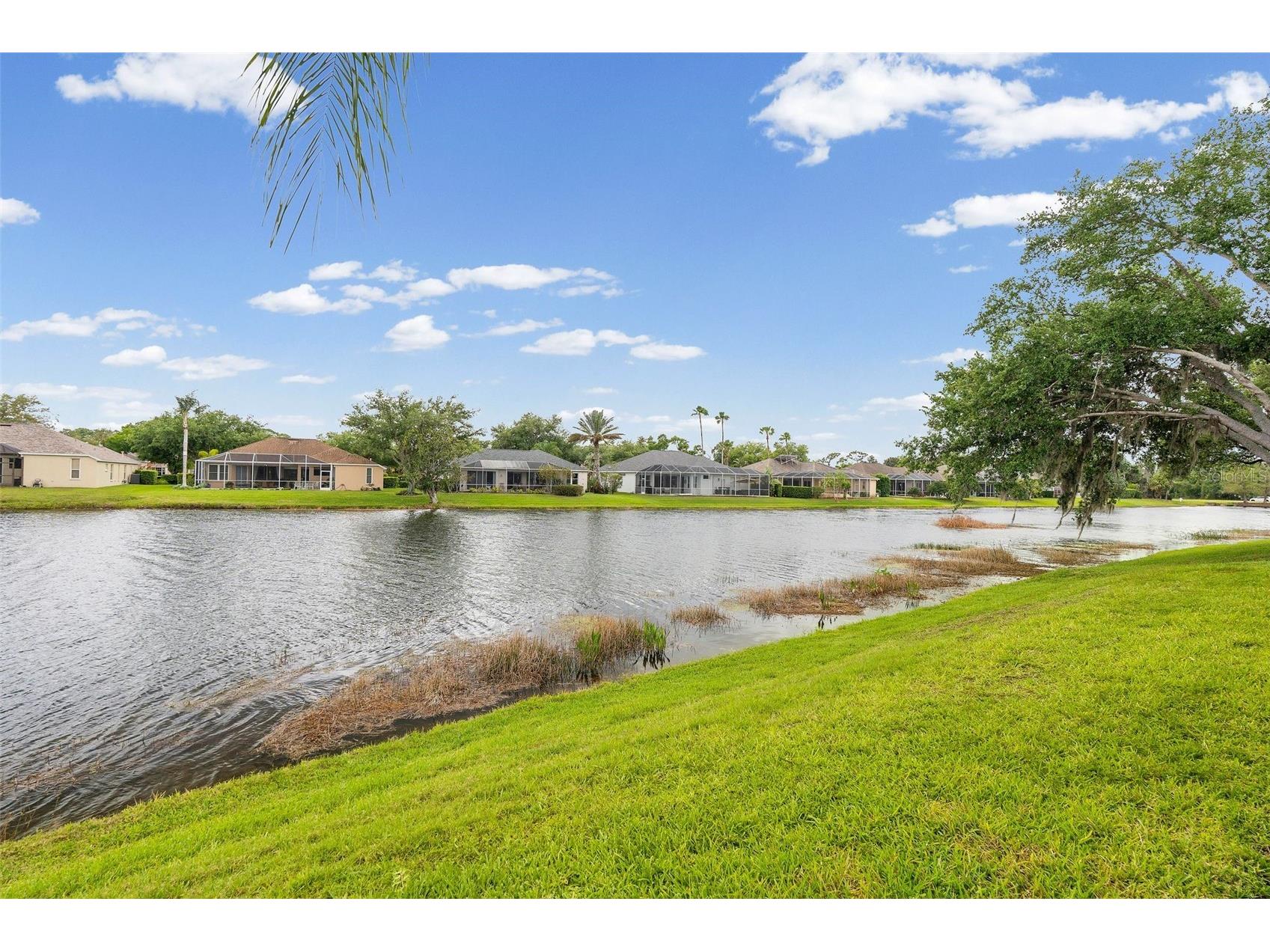 11808 Soft Rush Terrace Lakewood Ranch FL 34202 A4689310 image68