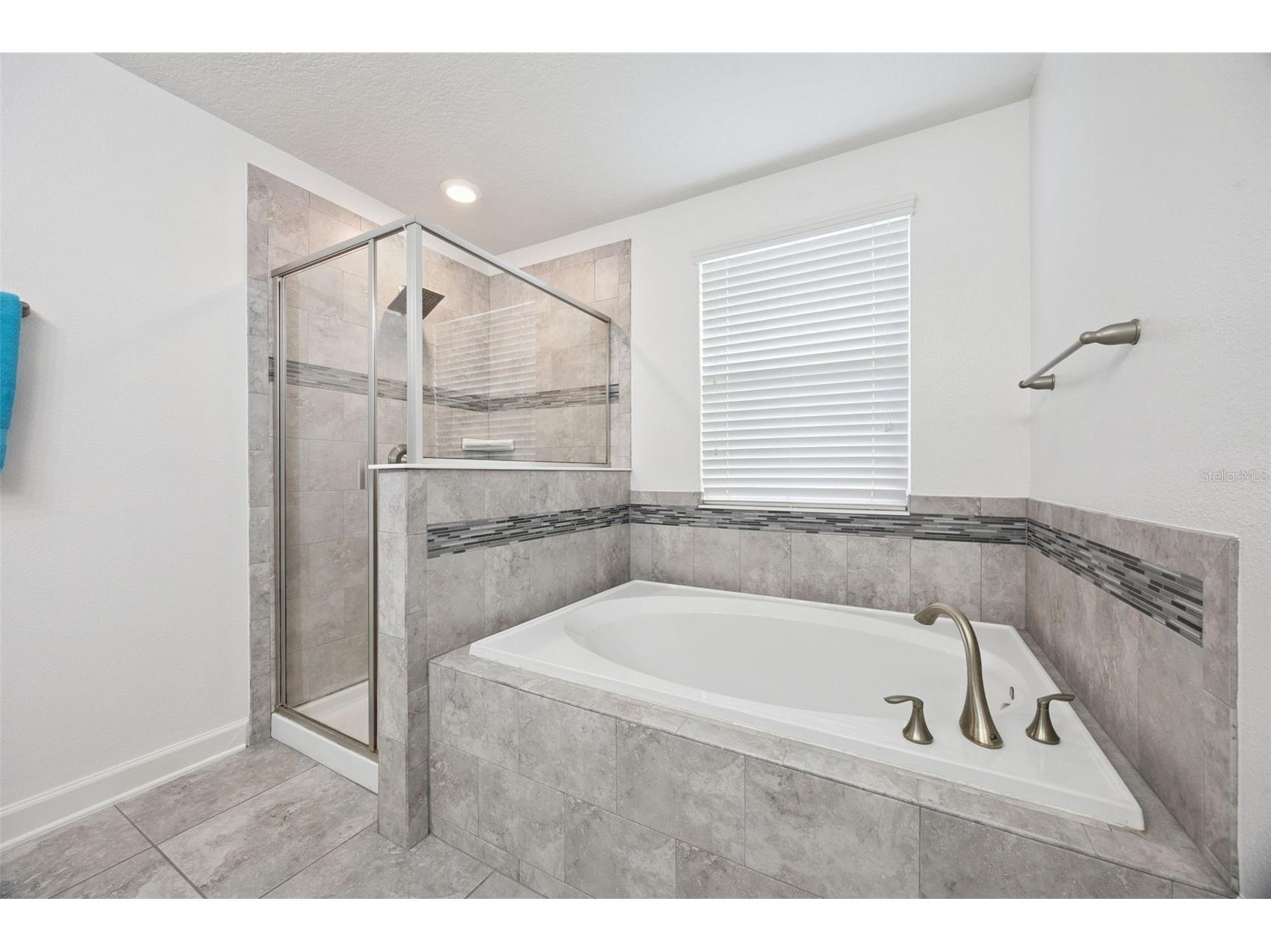 11809 Ginsberg Place Orlando FL 32832 O6364089 image31