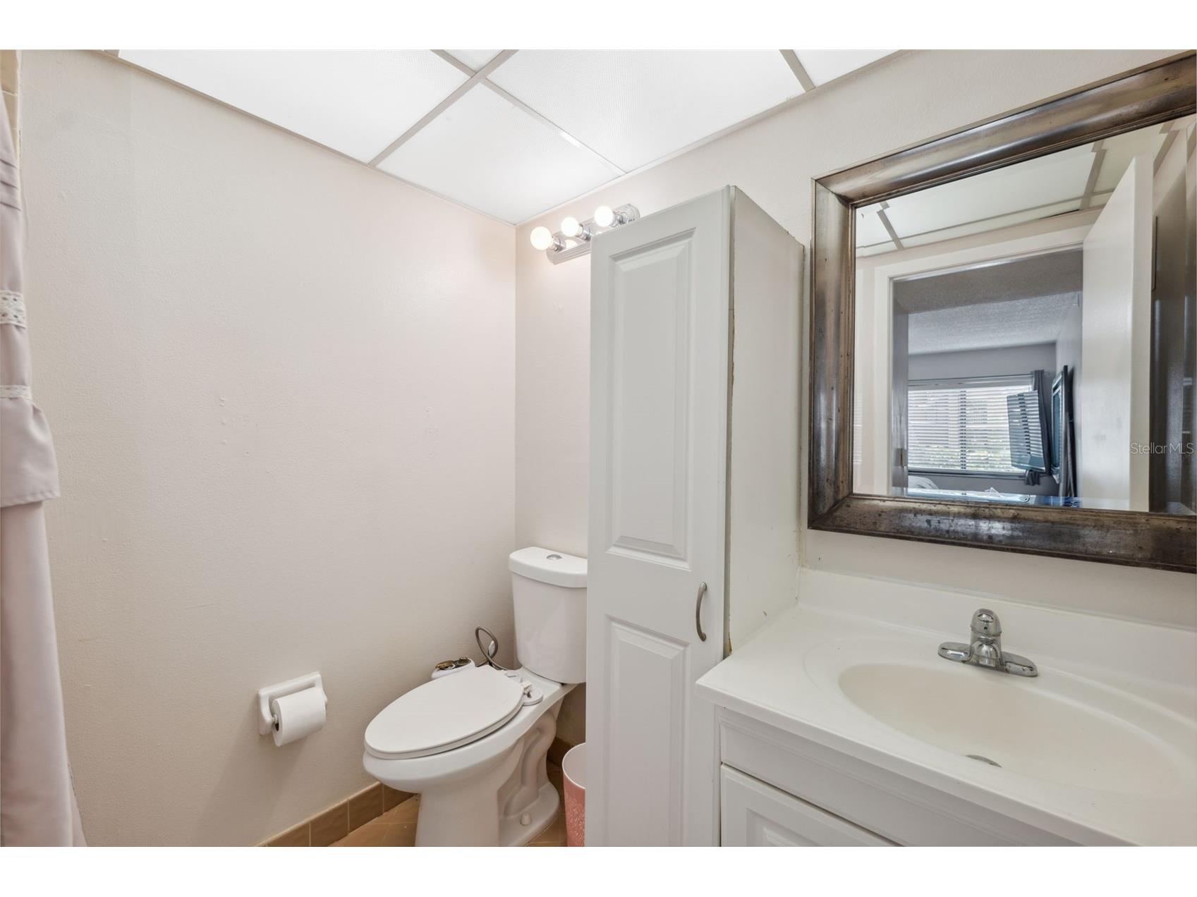 11809 Raintree Lake Lane #A Tampa FL 33617 TB8461716 image19