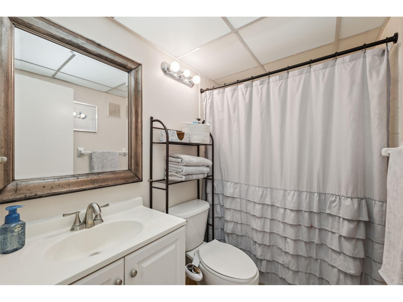 11809 Raintree Lake Lane #A Tampa FL 33617 TB8461716 image23