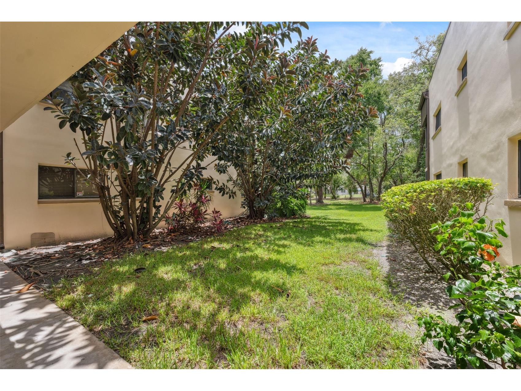 11809 Raintree Lake Lane #A Tampa FL 33617 TB8461716 image28