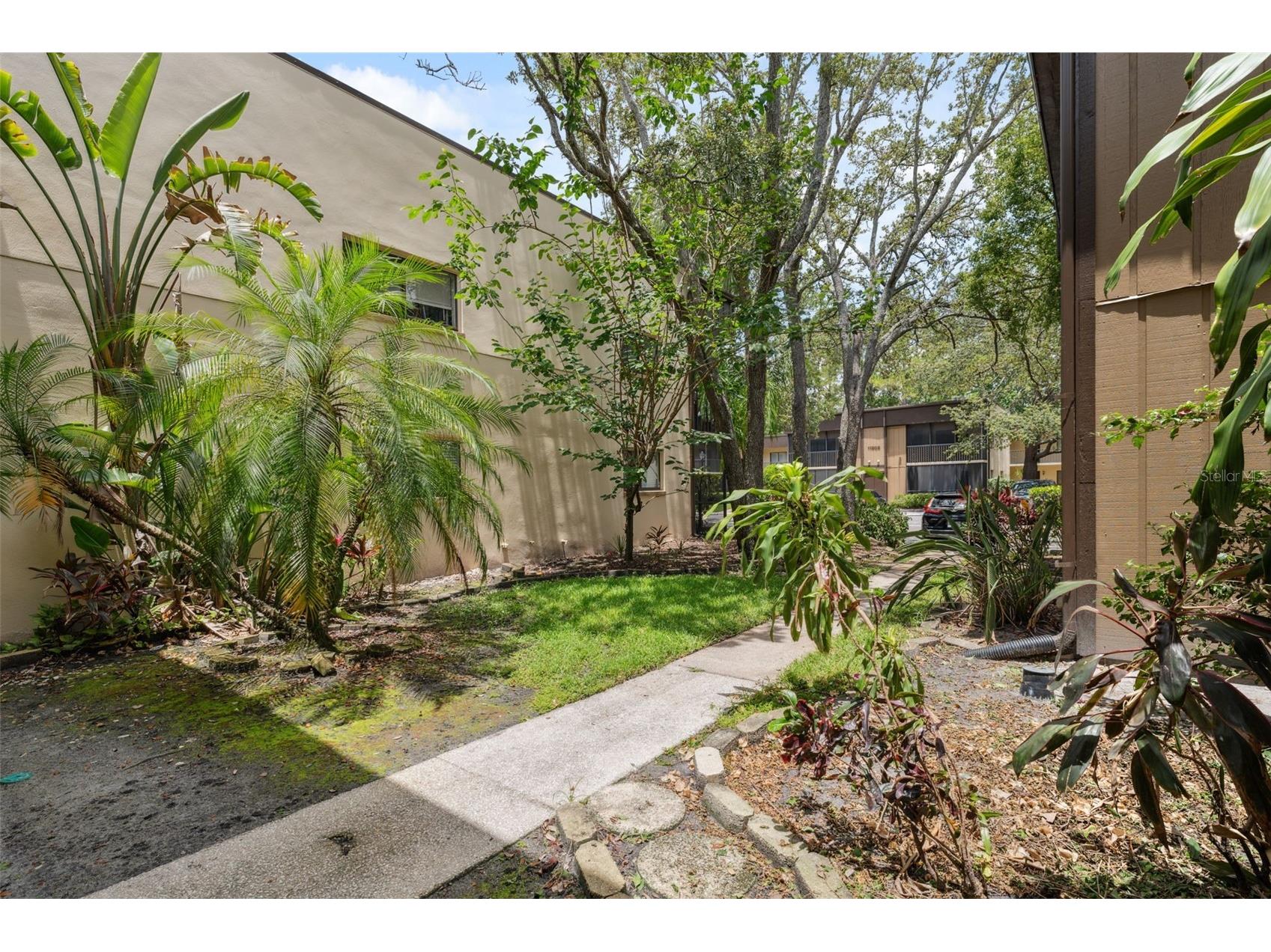 11809 Raintree Lake Lane #A Tampa FL 33617 TB8461716 image29