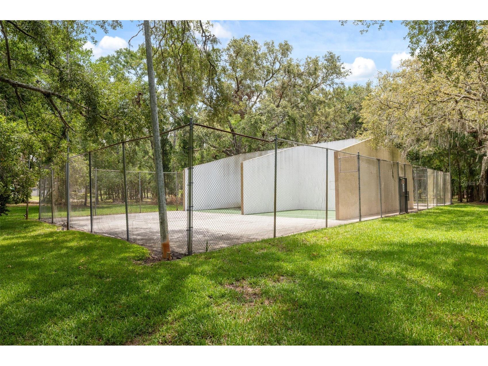 11809 Raintree Lake Lane #A Tampa FL 33617 TB8461716 image32