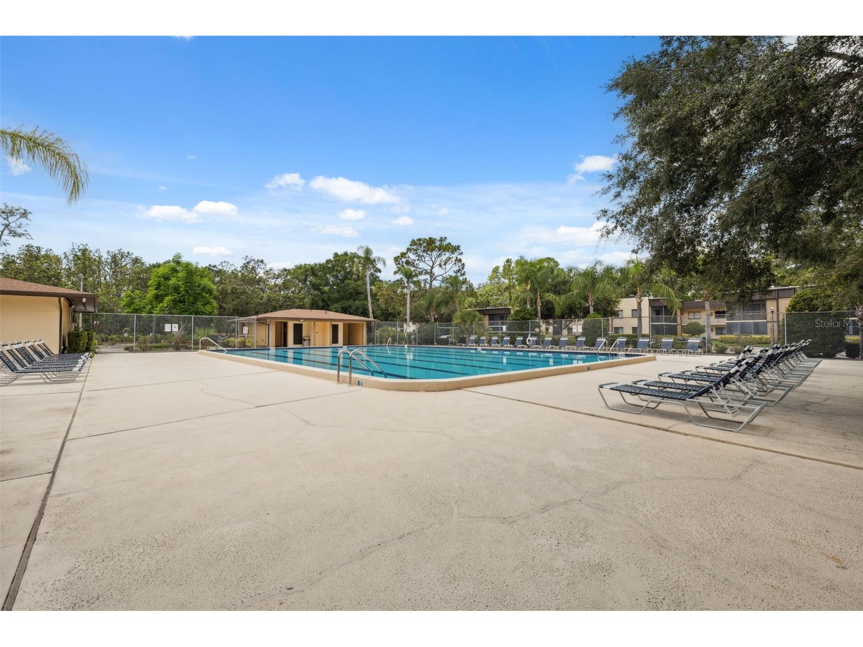 11809 Raintree Lake Lane #A Tampa FL 33617 TB8461716 image34