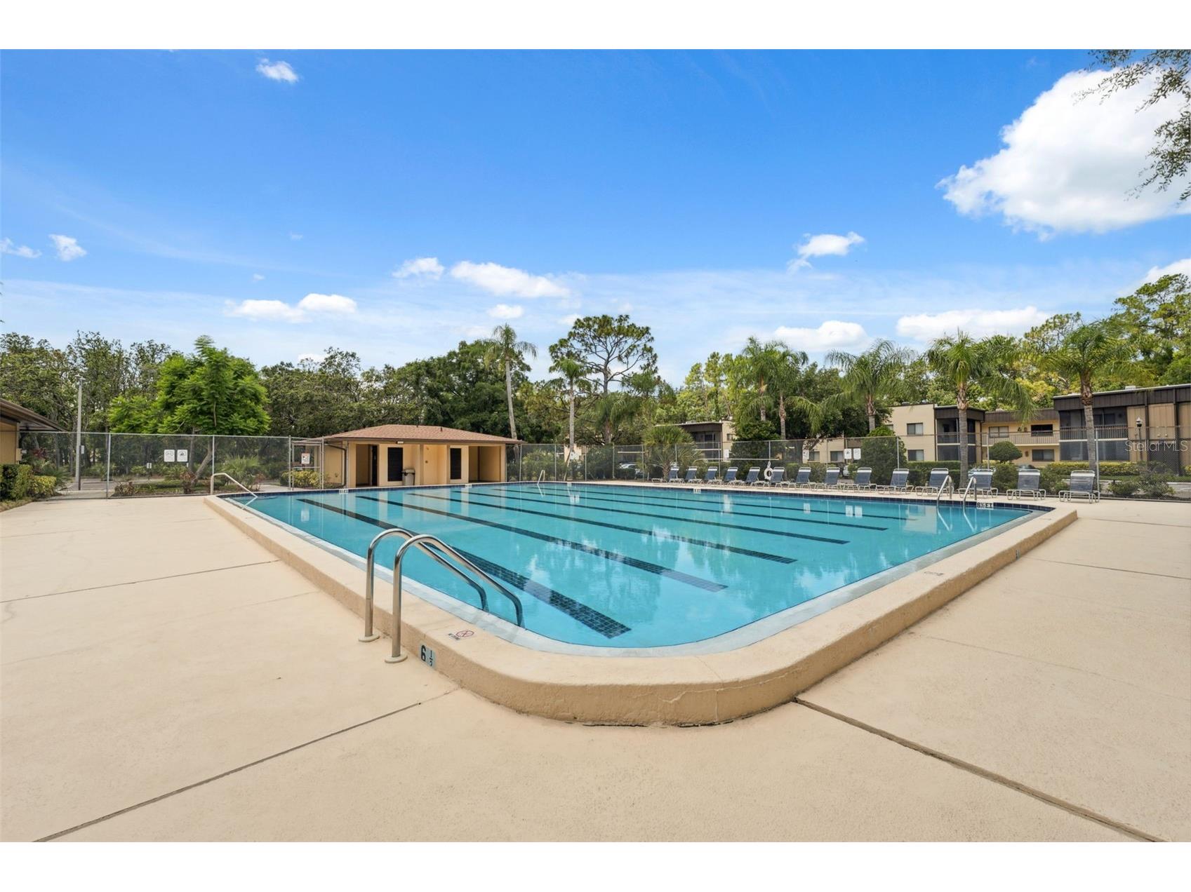 11809 Raintree Lake Lane #A Tampa FL 33617 TB8461716 image35