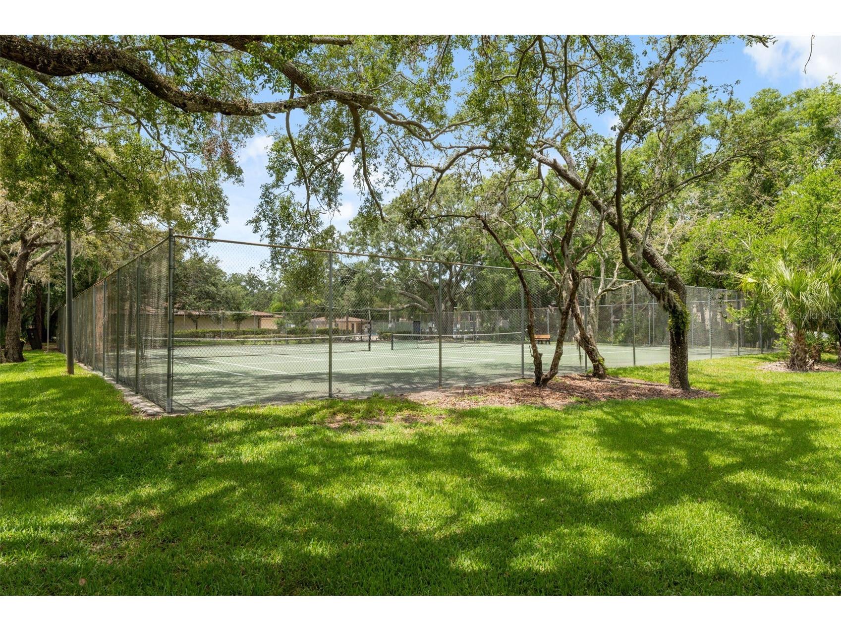11809 Raintree Lake Lane #A Tampa FL 33617 TB8461716 image39